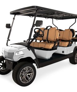 Premium Electric 6 Seat Daily & Weekly Rental