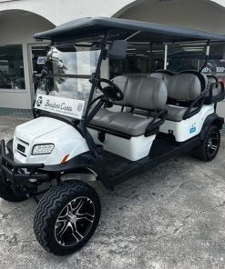 Premium Gas 6 Seat Daily & Weekly Rental